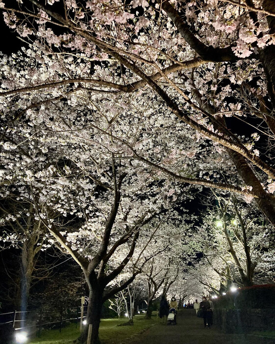 画像335
