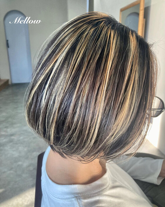 画像529