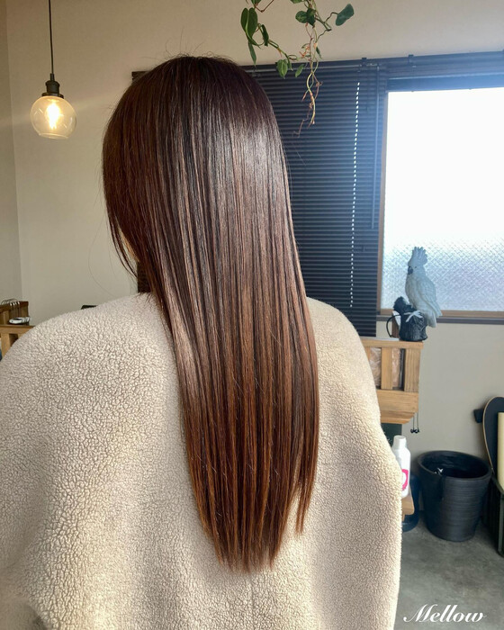 画像583